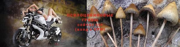 соль ск Киреевск